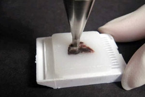 Tissue-Tek Quick-Ray Tissue Microarray