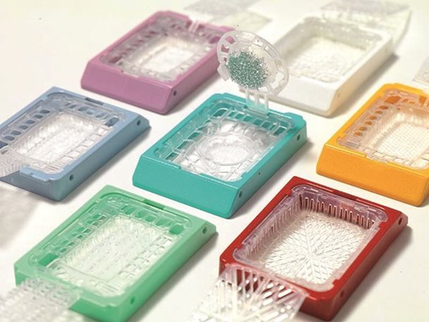 Colored plastic tissue embedding cassettes with transparent lids are arranged on a white surface, used for holding biological samples in laboratories.