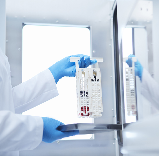 A person wearing blue gloves and a lab coat handles a rack holding test tubes in a laboratory setting.
