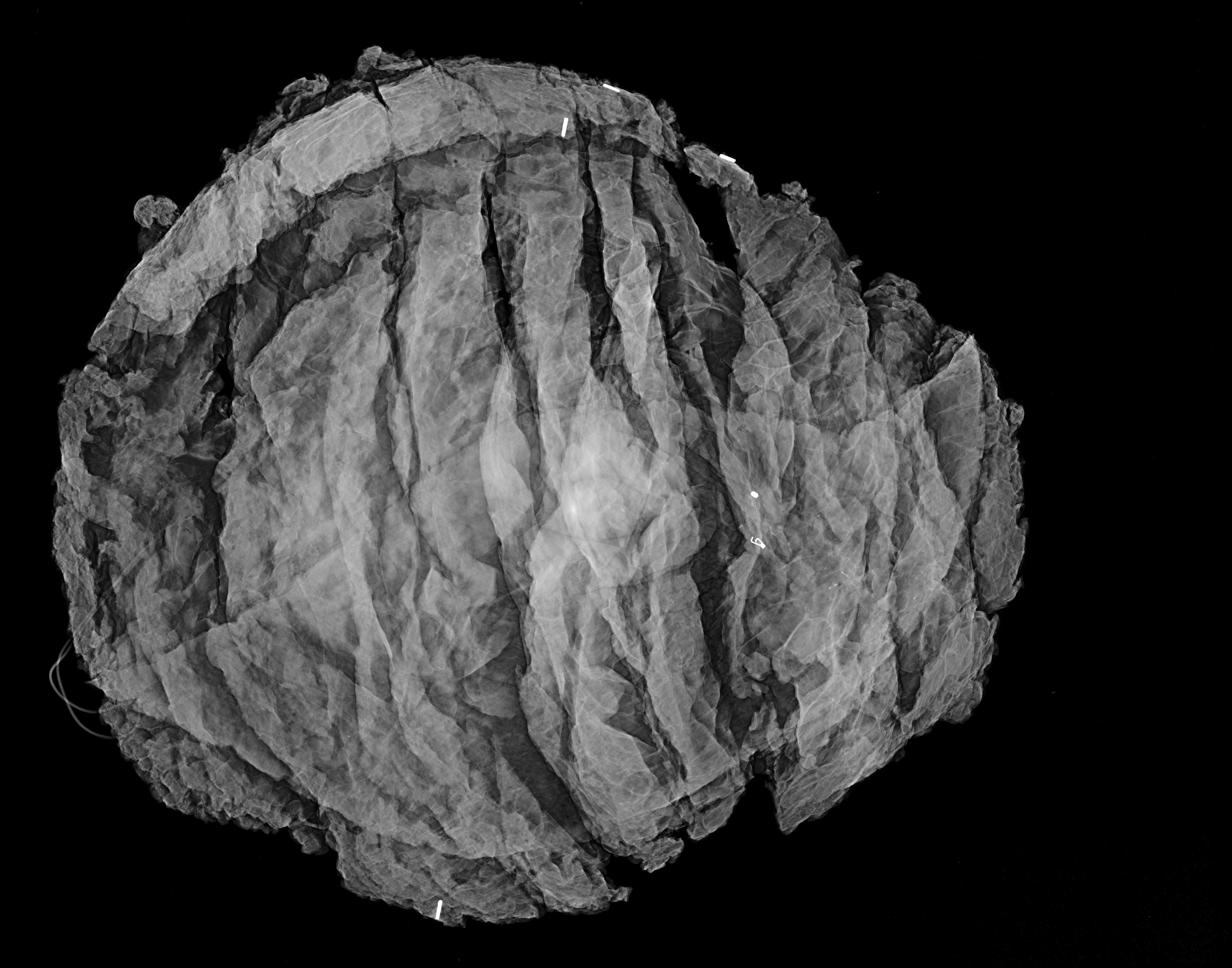 Black and white image of a wasp nest showing layered, papery walls and a rounded shape on a black background.