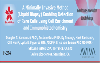 A Minimally Invasive Method (Liquid Biopsy) Enabling Detection of Rare Cells using Cell Enrichment and Immunohistochemistry