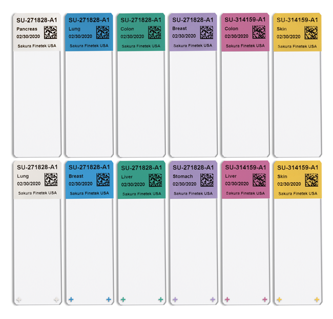 Ten labeled medical test strips for different organs (pancreas, lung, breast, colon, skin, stomach, liver) by Sakura Finetek USA, each with a QR code and date 03/20/2020.