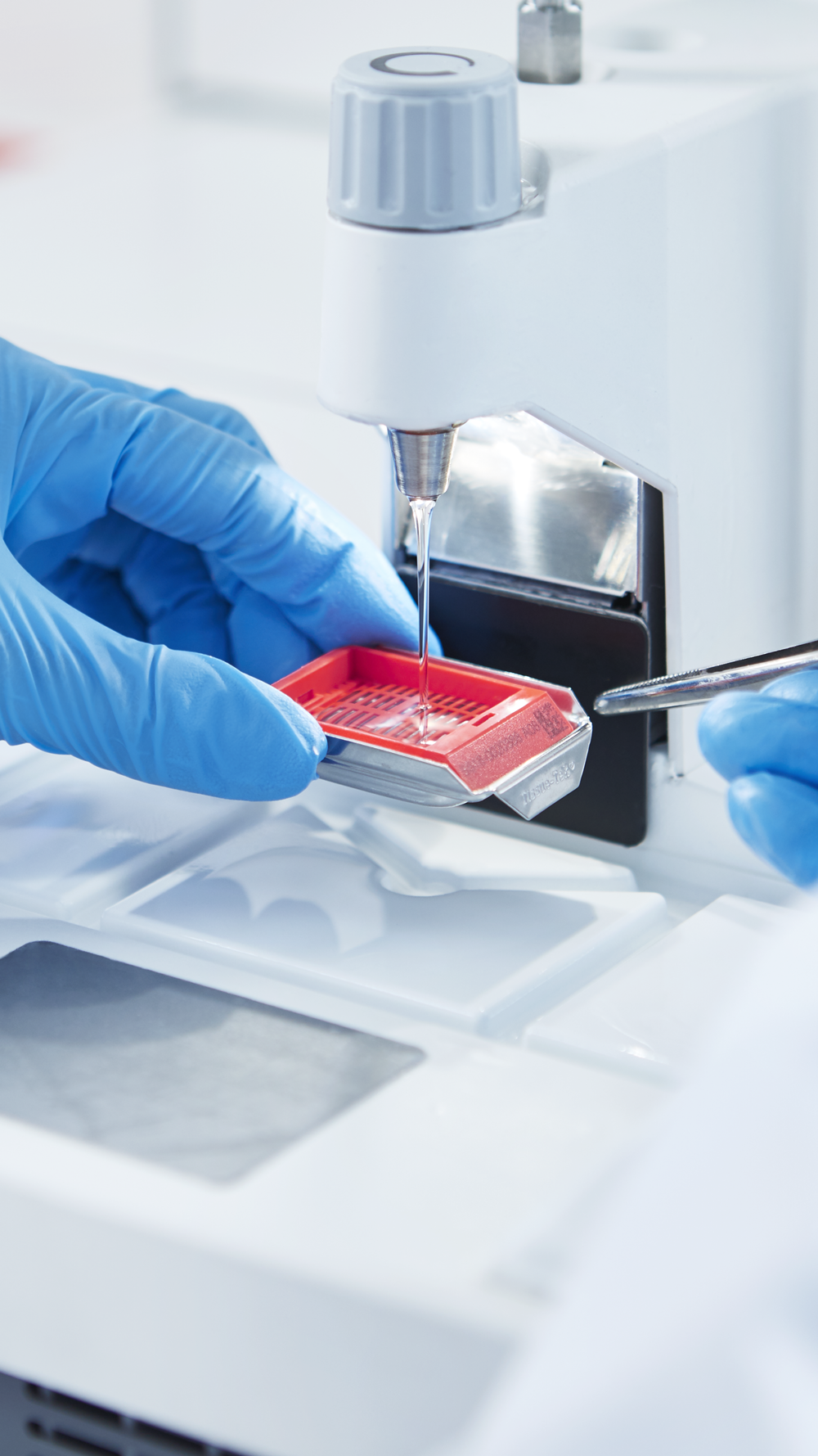 Gloved hands use laboratory equipment to cut a thin slice from a red wax-embedded sample, preparing it for microscopic examination.