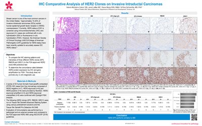 IHC Comparative Analysis of HER2 Clones on Invasive Intraductal Carcinomas