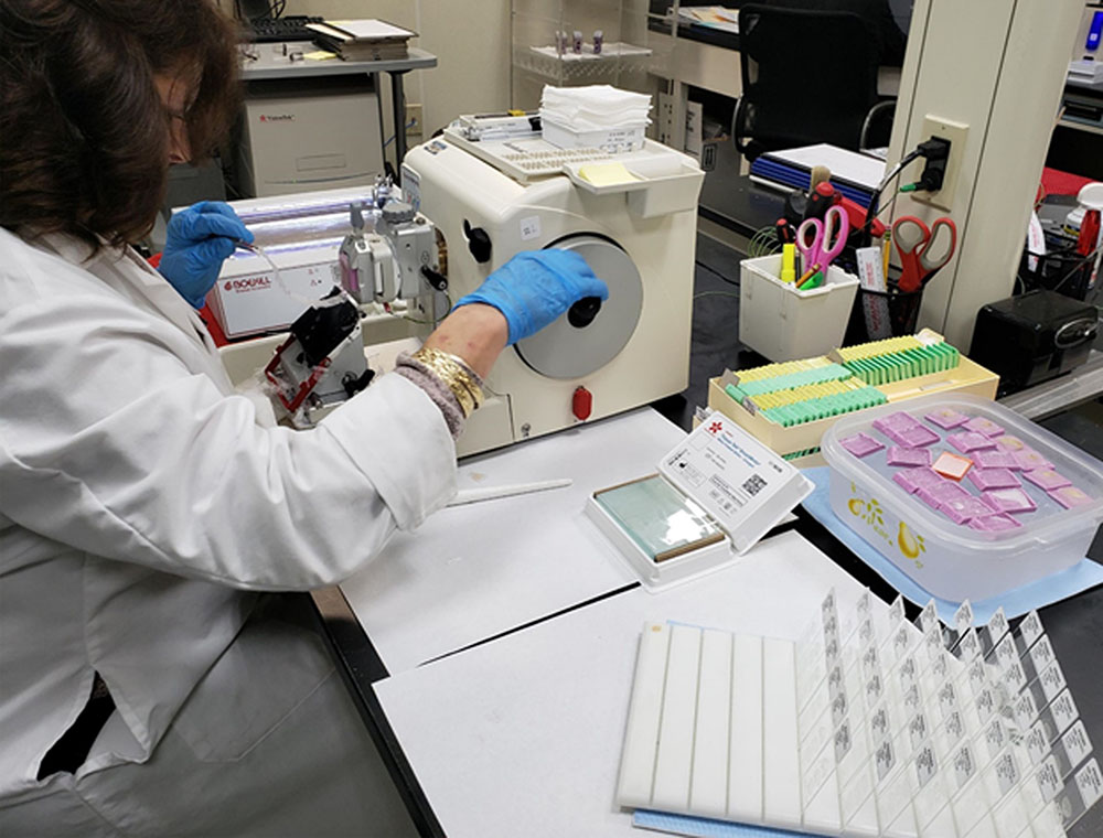 A lab technician operates a microtome to prepare tissue samples, with slides, labeled containers, and lab supplies organized on the workstation.