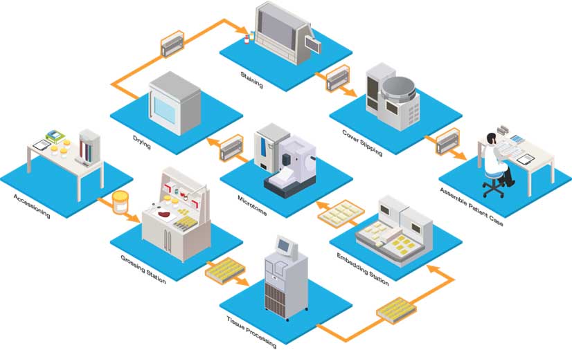 Illustration of a laboratory workflow showing stations for accessioning, drying, grossing, tissue processing, sectioning, staining, cover slipping, slide scanning, and administrative tasks.