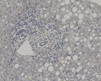 A close-up of a microscope.