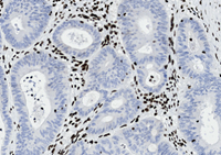 A close-up of a microscope.
