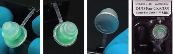 Three close-up images show a green capsule held with forceps, and a fourth image shows the capsule placed in a labeled container reading "DUO Pan-CK/CD31".