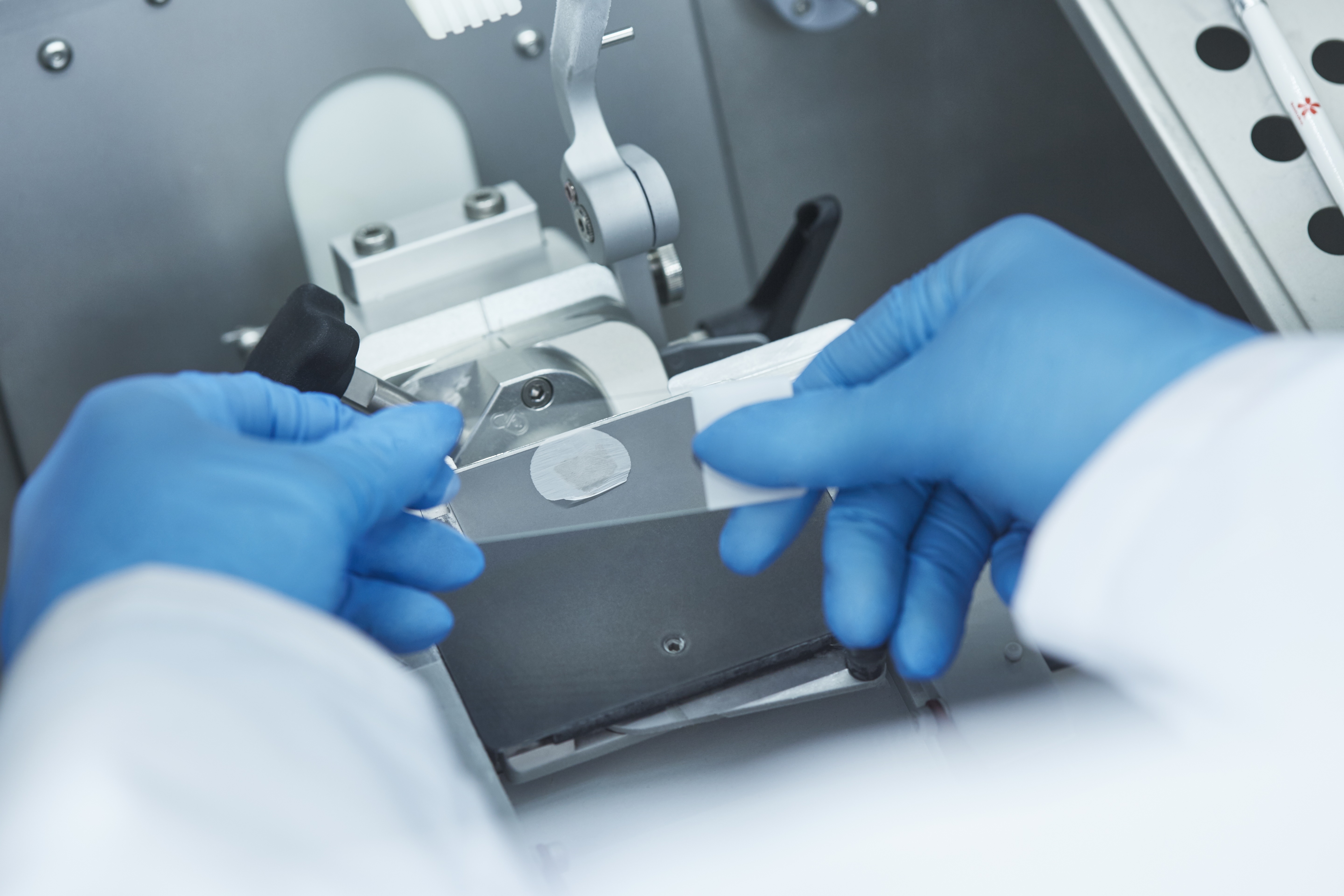 Gloved hands prepare a microscope slide with a tissue sample in a laboratory setting.