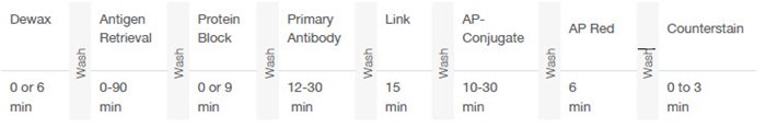 A timeline of immunohistochemistry steps: Dewax, Antigen Retrieval, Protein Block, Primary Antibody, Link, AP-Conjugate, AP Red, and Counterstain, with wash steps in between and times listed.